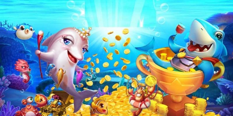 Vua cướp biển lưu ý quan trọng