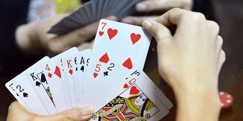 Câu bài phỏm giới thiệu tổng quan